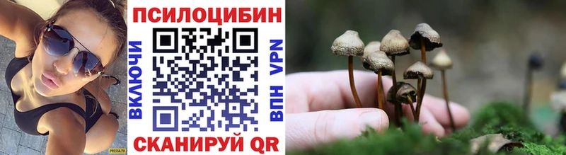 MEGA зеркало  Юрьевец  Псилоцибиновые грибы Magic Shrooms 