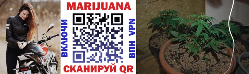 Бошки Шишки MAZAR  shop состав  Юрьевец 